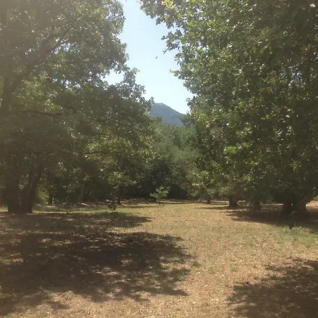 La Villalongua Alloggio in famiglia