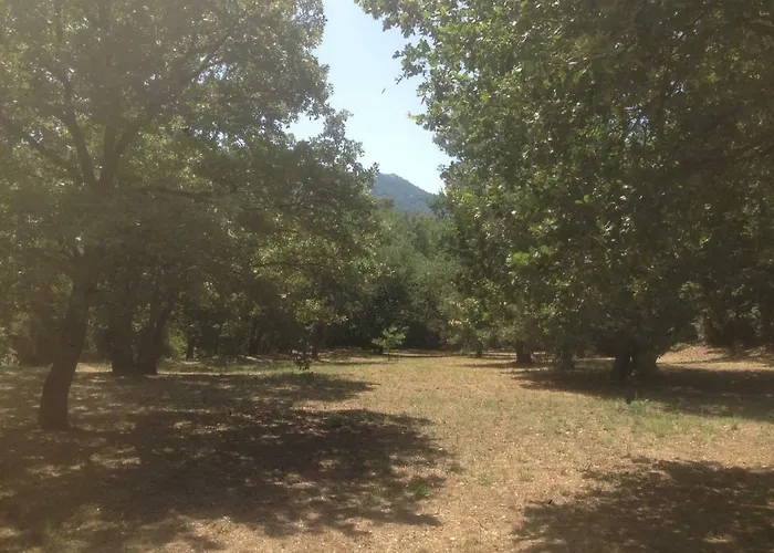 La Villalongua Ubytování v soukromí
